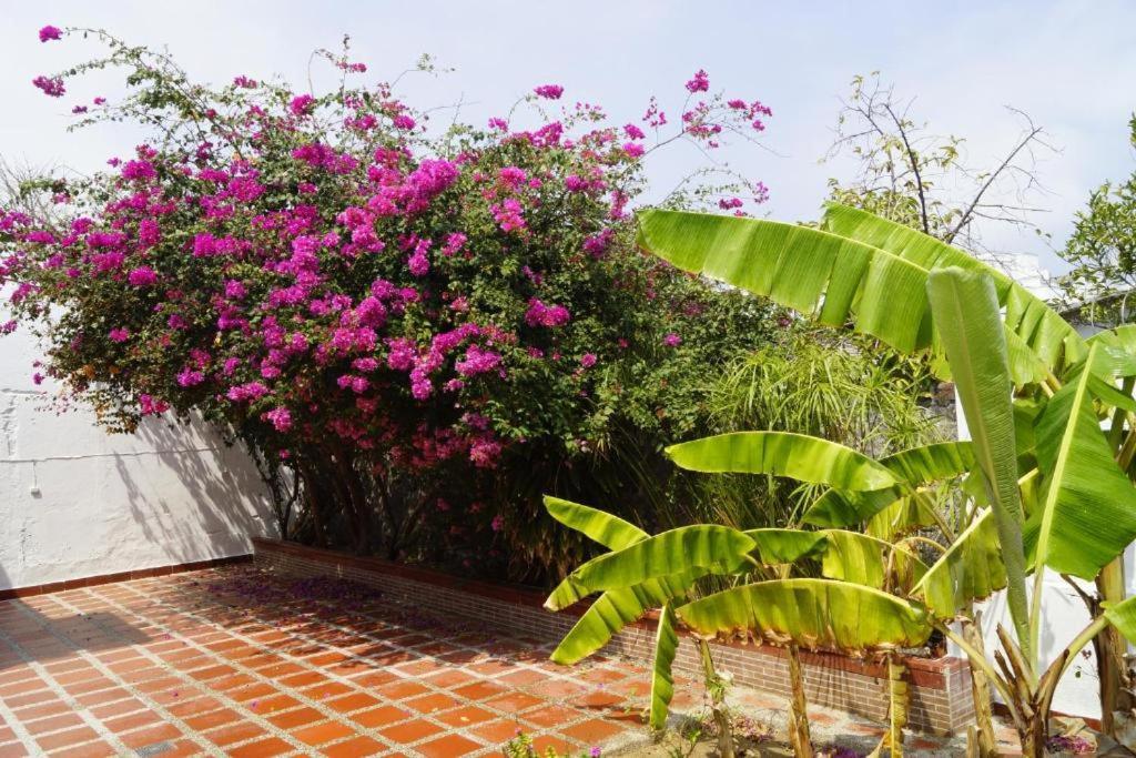 Hotel Mar Di Plata Barranquilla  Exterior foto