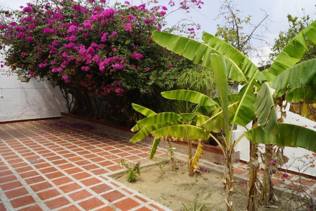 Hotel Mar Di Plata Barranquilla  Exterior foto
